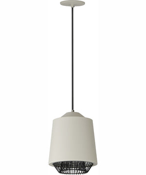 Phoenix 9 inch LED Pendant Gray / Black