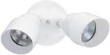 Casual Motion Security & Flood Lights