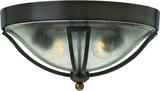 Casual Outdoor Ceiling Lights
