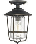 Outdoor Ceiling Lights